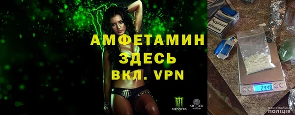 шишки Анива
