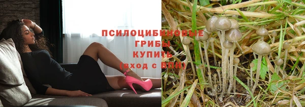 наркотики Михайловск